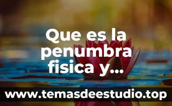 Que es la penumbra fisica y penumbra geometria