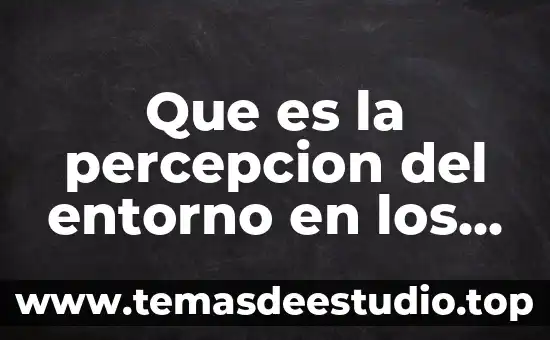 Que es el sol para niños de primero de primaria 5 Que es la percepcion del entorno en los niños