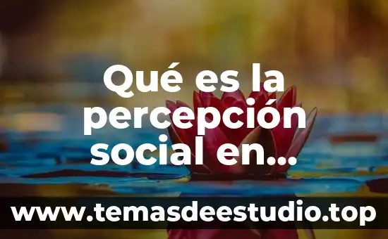 Qué es el porfiriato y movimiento social resumen 3 Qué es la percepción social en psicología