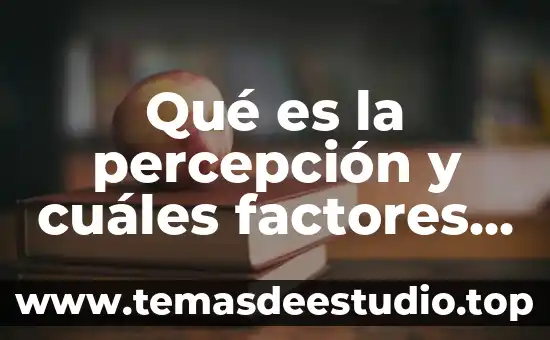 Que es un fenomeno meteorologico y cuales son sus factores 5 Qué es la percepción y cuáles factores influyen en ella