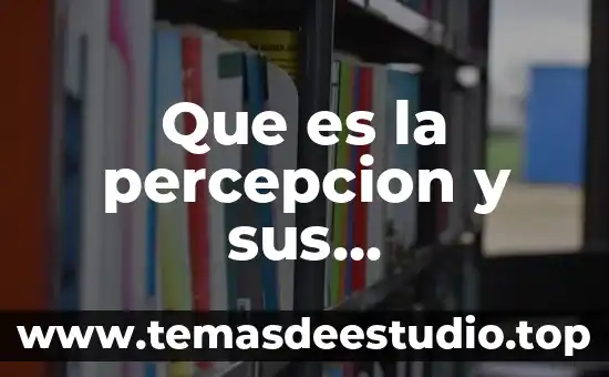 Mapa mental sobre que es el arte 3 Que es la percepcion y sus caracteristicas mapa mental