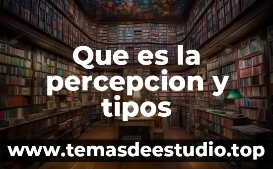 Que es un tipos de compuesto 6 Que es la percepcion y tipos