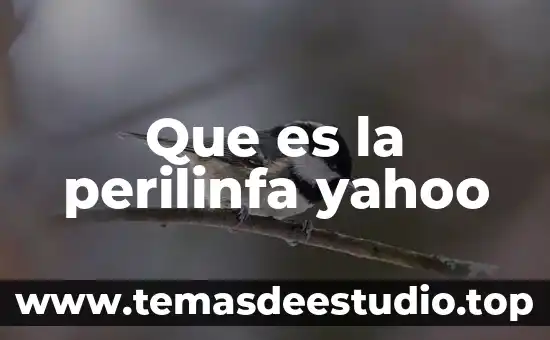 Que es la perilinfa yahoo