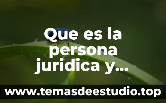 Que es la persona juridica y cuales son sus caracteristicas