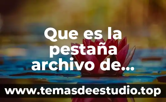 Que es la pestaña de vista en word 8 Que es la pestaña archivo de word