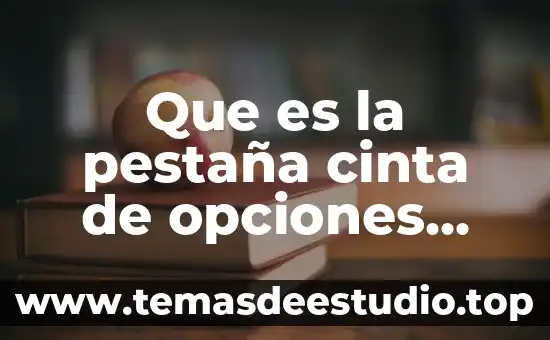 Que es la pestaña de vista en word 6 Que es la pestaña cinta de opciones word 2016