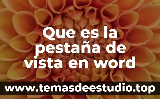Que es la pestaña cinta de opciones word 2016 8 Que es la pestaña de vista en word