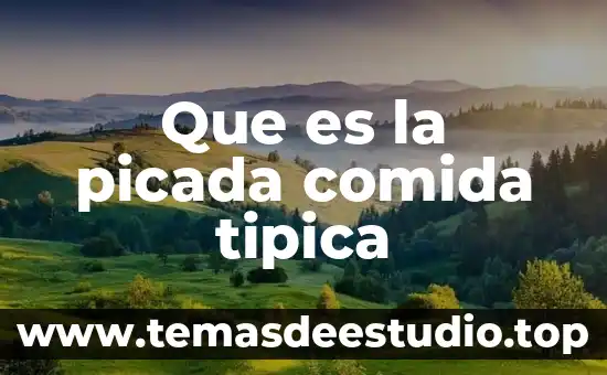 Que es charipo comida mexicana 4 Que es la picada comida tipica