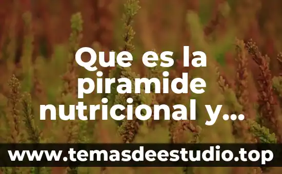 Por que es importante el tamizaje nutricional 5 Que es la piramide nutricional y para que sirve