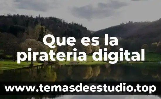 Qué es consultor digital 6 Que es la pirateria digital