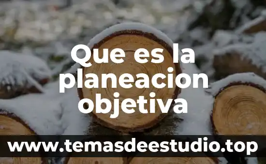 Que es la planeacion objetiva