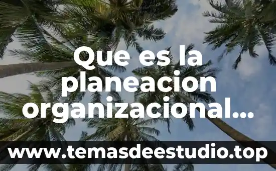 Que es el significado en la psicologia organizacional 3 Que es la planeacion organizacional su principal funcion