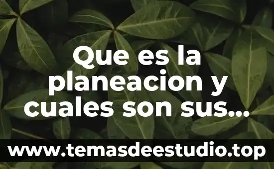 Que es el estoisismo griego y cuales son sus características 8 Que es la planeacion y cuales son sus caracteristicas