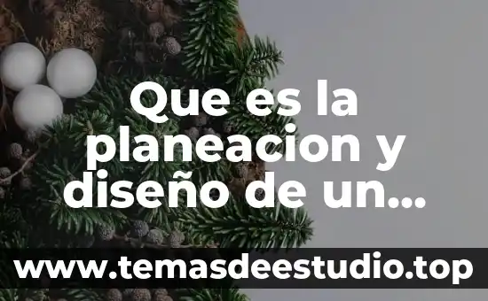 Que es la planeacion y diseño de un menu