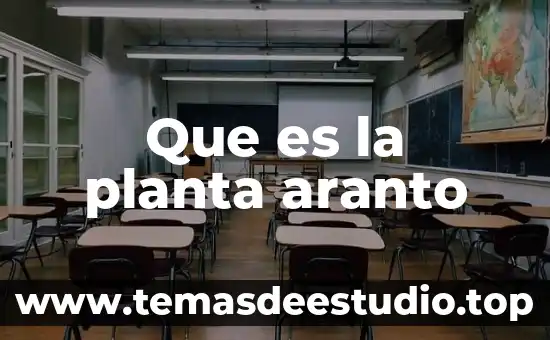 Que es el cuerpo secundario de una planta 6 Que es la planta aranto