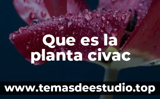 Que es el cuerpo secundario de una planta 7 Que es la planta civac