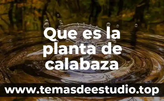Para que es la planta albahaca 3 Que es la planta de calabaza