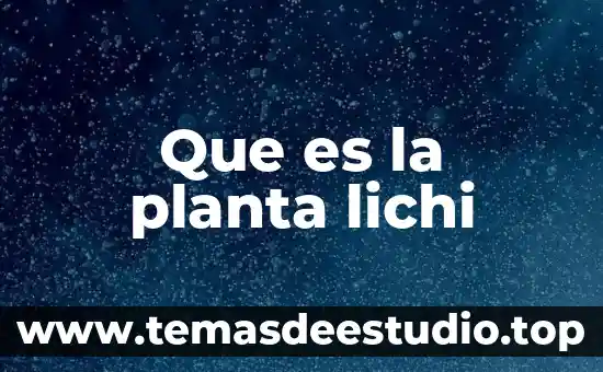 Qué es planta o alzado 5 Que es la planta lichi