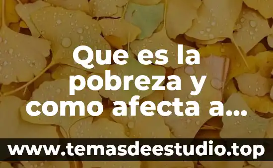 Cómo afecta en la escuela un niño que es abusado 6 Que es la pobreza y como afecta a la sociedad