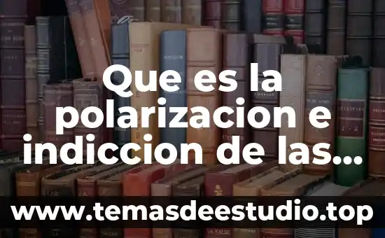 Que es una cargas puntuales en vigas 3 Que es la polarizacion e indiccion de las cargas electricas