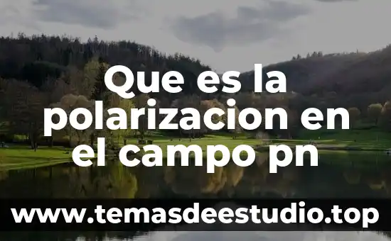 Que es el campo visual en fotografia 3 Que es la polarizacion en el campo pn