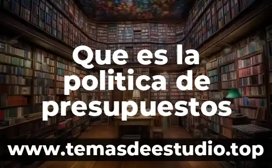 Que es programacion en elaboracion de presupuestos 3 Que es la politica de presupuestos