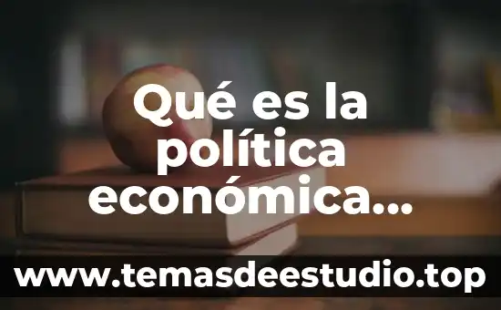 Que es geografia economica y ramas economicas 8 Qué es la política económica concepto