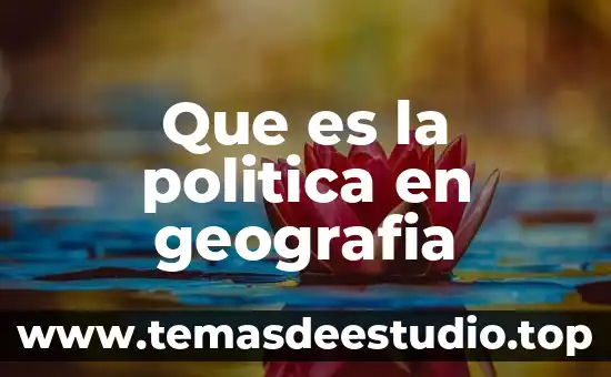 Que es decision politica 6 Que es la politica en geografia