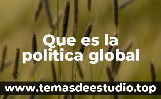 Qué es la filosofía política moderna 4 Que es la politica global