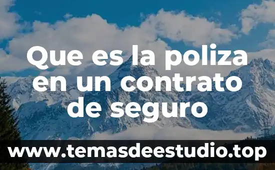 Que es la poliza en un contrato de seguro