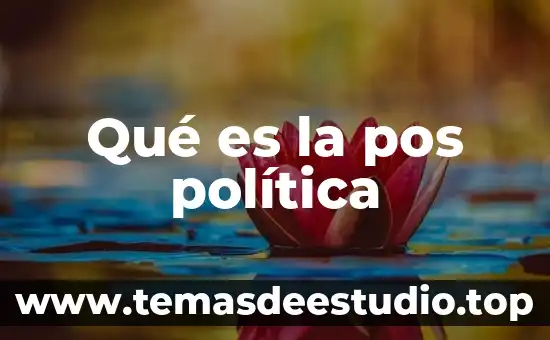 Qué es un inomio en política 3 Qué es la pos política