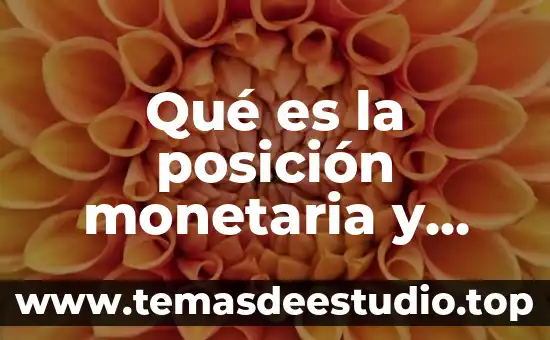Qué es la posición monetaria y cómo puede ser