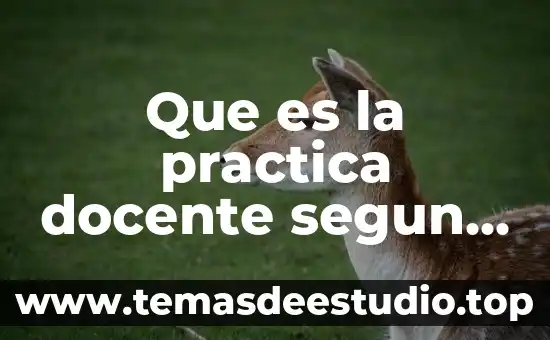 Que es la reflexion de la practica docente segun autores 6 Que es la practica docente segun piaget