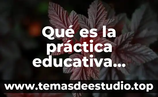 Qué es la práctica educativa Cuellar
