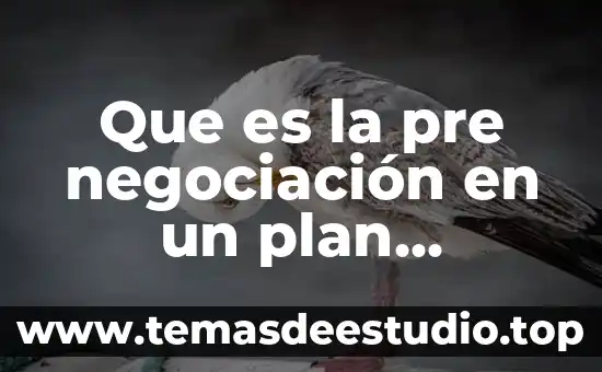 Que es el conocimiento estrategico 5 Que es la pre negociación en un plan estrategico