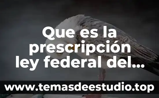 Que es la prescripción ley federal del trabajo