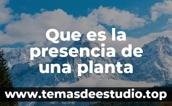Para que es la planta albahaca 5 Que es la presencia de una planta