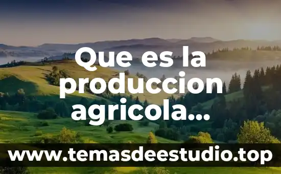 Qué es un ambiente confuso 8 Que es la produccion agricola definición sagarpa