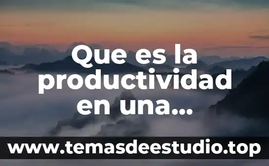 Que es la productividad en una empresa y su importancia