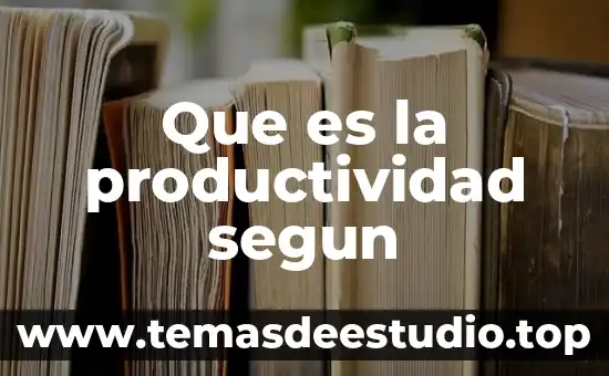 Que es la productividad segun