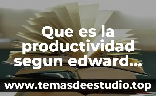 Que es la productividad segun edward de bono