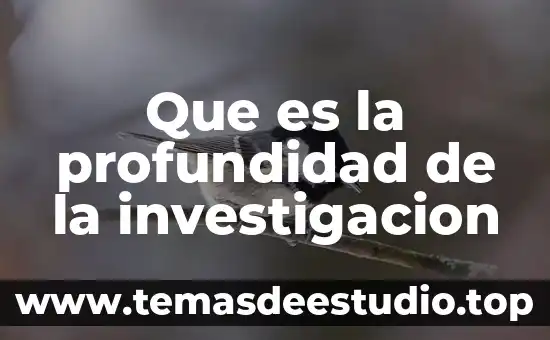 Por qué es importante la filosofía de la investigación 5 Que es la profundidad de la investigacion