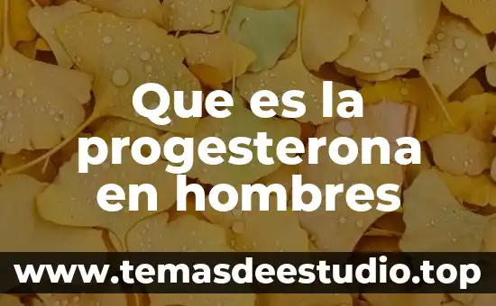 Que es la progesterona en hombres