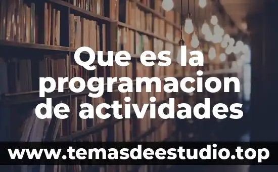Que es la programacion de actividades
