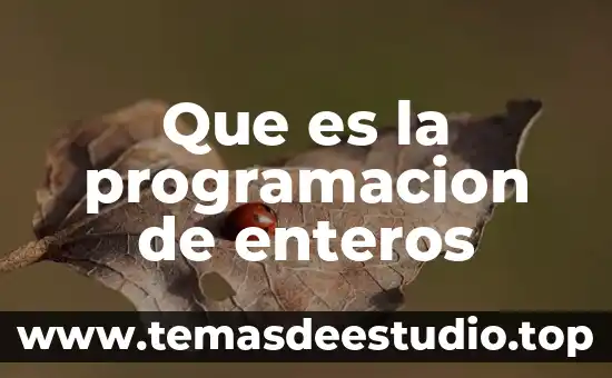 Qué es un supar en programación 8 Que es la programacion de enteros