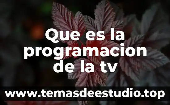 Programación en C que es devolver un parámetro 3 Que es la programacion de la tv