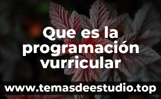 Que es materialismo historico yahoo 4 Que es la programación vurricular