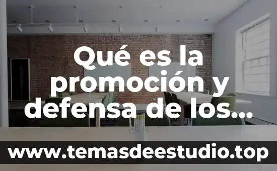 Qué es la promoción y defensa de los derechos humanos