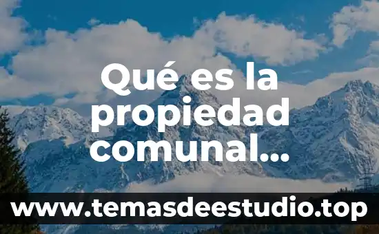 Qué es la propiedad comunal historia de México