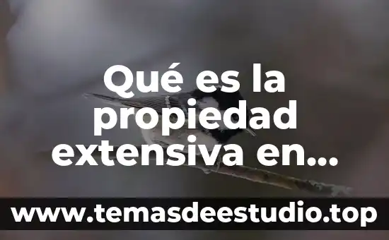 Qué es la propiedad extensiva en química